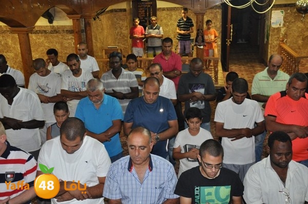 trawe7 mahmodiya 713 (24).JPG